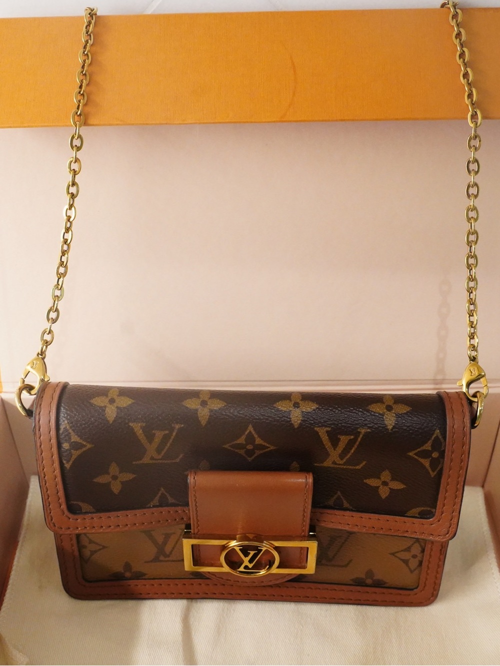 Louis Vuitton Dauphine Reverse Monogram with Gold Hardware/Chain - Picture 13 of 16